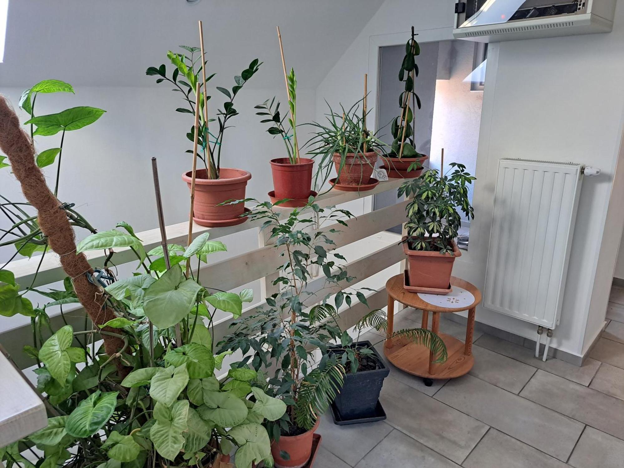 Apartmány Amália Piest'any Exteriér fotografie